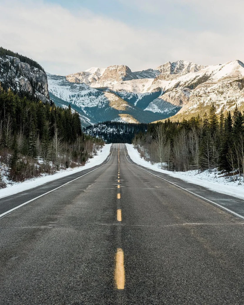 Заказать обратный звонок